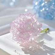 ヒメ日記 2025/06/17 08:01 投稿 咲(えみ) グランドオペラ福岡