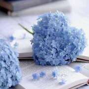 ヒメ日記 2025/06/19 00:21 投稿 咲(えみ) グランドオペラ福岡