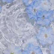 ヒメ日記 2025/07/01 23:12 投稿 咲(えみ) グランドオペラ福岡