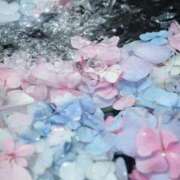 ヒメ日記 2025/07/02 14:05 投稿 咲(えみ) グランドオペラ福岡