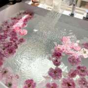 ヒメ日記 2025/07/08 10:51 投稿 咲(えみ) グランドオペラ福岡