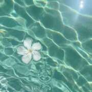 ヒメ日記 2025/07/17 23:44 投稿 咲(えみ) グランドオペラ福岡