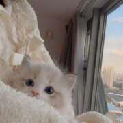 ヒメ日記 2025/08/04 00:21 投稿 咲(えみ) グランドオペラ福岡