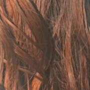 ヒメ日記 2025/10/18 22:42 投稿 咲(えみ) グランドオペラ福岡