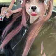 ヒメ日記 2024/12/16 22:05 投稿 つきな※業界完全未経験 きらめけ！にゃんにゃん学園in大宮