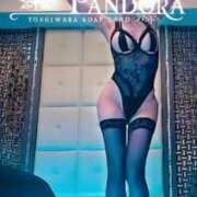 ヒメ日記 2026/03/21 22:44 投稿 美谷 パンドラ（吉原）