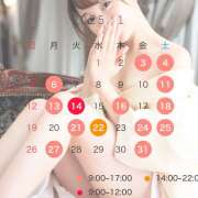 ヒメ日記 2024/12/17 20:33 投稿 郁美 シャトーペトラ