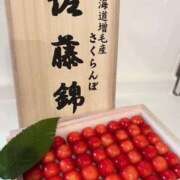 ヒメ日記 2025/07/07 09:46 投稿 いおり SAPPORO ばつぐんnet