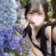 ヒメ日記 2025/07/29 06:56 投稿 いおり SAPPORO ばつぐんnet