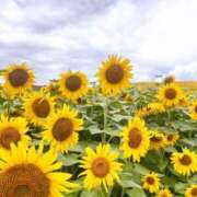 ヒメ日記 2025/08/10 19:46 投稿 いおり SAPPORO ばつぐんnet