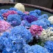 ヒメ日記 2025/09/17 14:06 投稿 いおり SAPPORO ばつぐんnet