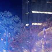 ヒメ日記 2024/12/09 12:47 投稿 岡田★ プリマドンナ