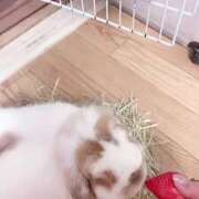 ヒメ日記 2024/12/16 09:07 投稿 岡田★ プリマドンナ