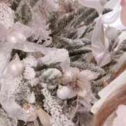 ヒメ日記 2024/12/19 00:17 投稿 岡田★ プリマドンナ