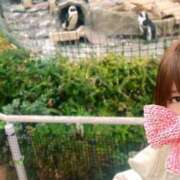 ヒメ日記 2025/01/20 06:17 投稿 岡田★ プリマドンナ