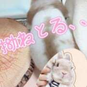 ヒメ日記 2025/03/06 15:57 投稿 岡田★ プリマドンナ