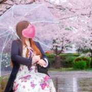 ヒメ日記 2025/03/18 15:27 投稿 岡田★ プリマドンナ