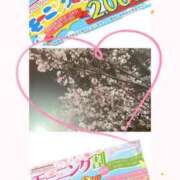 ヒメ日記 2025/03/31 08:07 投稿 岡田★ プリマドンナ