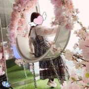ヒメ日記 2025/04/20 00:18 投稿 岡田★ プリマドンナ