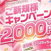 ヒメ日記 2025/04/28 10:47 投稿 岡田★ プリマドンナ