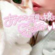 ヒメ日記 2025/04/29 13:57 投稿 岡田★ プリマドンナ