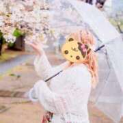 ヒメ日記 2025/04/30 17:17 投稿 岡田★ プリマドンナ