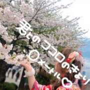 ヒメ日記 2025/05/12 09:17 投稿 岡田★ プリマドンナ