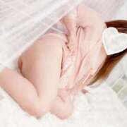 ヒメ日記 2025/07/28 06:47 投稿 岡田★ プリマドンナ