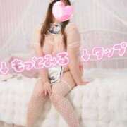 ヒメ日記 2025/10/16 00:35 投稿 岡田★ プリマドンナ