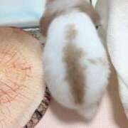 ヒメ日記 2025/10/29 07:07 投稿 岡田★ プリマドンナ