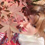 ヒメ日記 2025/11/20 05:57 投稿 岡田★ プリマドンナ