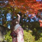 ヒメ日記 2025/11/22 00:31 投稿 岡田★ プリマドンナ