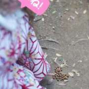 ヒメ日記 2025/11/23 06:17 投稿 岡田★ プリマドンナ