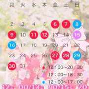 ヒメ日記 2026/02/19 14:37 投稿 岡田★ プリマドンナ