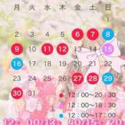 ヒメ日記 2026/02/24 14:17 投稿 岡田★ プリマドンナ