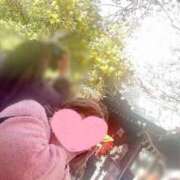 ヒメ日記 2026/03/02 00:17 投稿 岡田★ プリマドンナ