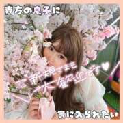 ヒメ日記 2026/04/03 12:01 投稿 岡田★ プリマドンナ