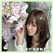 ヒメ日記 2026/04/04 07:17 投稿 岡田★ プリマドンナ