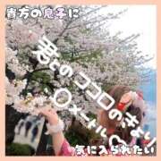 ヒメ日記 2026/04/07 18:17 投稿 岡田★ プリマドンナ