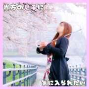 ヒメ日記 2026/04/08 07:07 投稿 岡田★ プリマドンナ