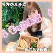 ヒメ日記 2026/04/08 15:17 投稿 岡田★ プリマドンナ