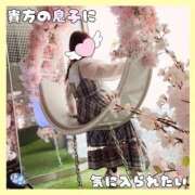 ヒメ日記 2026/04/08 22:22 投稿 岡田★ プリマドンナ