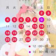 ヒメ日記 2026/04/15 11:57 投稿 岡田★ プリマドンナ