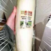 ヒメ日記 2025/01/15 20:19 投稿 さなえ 一夜妻