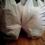 ヒメ日記 2025/02/04 10:09 投稿 さなえ 一夜妻