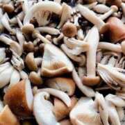 ヒメ日記 2025/02/04 12:59 投稿 さなえ 一夜妻