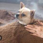 ヒメ日記 2025/02/24 12:39 投稿 さなえ 一夜妻