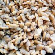 ヒメ日記 2025/02/25 13:23 投稿 さなえ 一夜妻