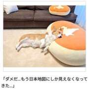 ヒメ日記 2025/03/05 15:09 投稿 さなえ 一夜妻