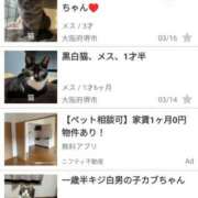 ヒメ日記 2025/03/19 01:59 投稿 さなえ 一夜妻